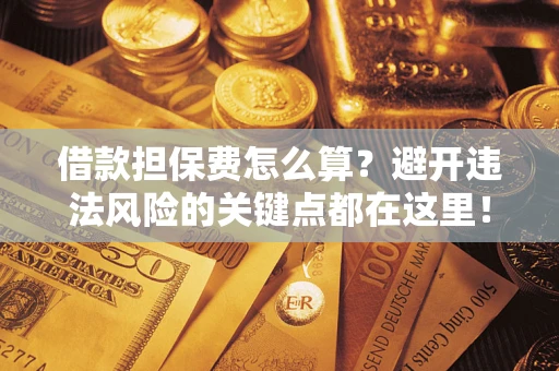 济南借款担保费怎么算？避开违法风险的关键点都在这里！