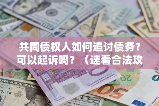 济南共同债权人如何追讨债务？可以起诉吗？（速看合法攻略）